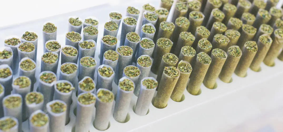 prerolled joints